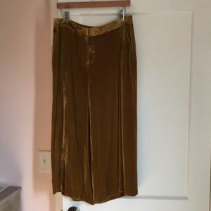 Golden velour crop pants